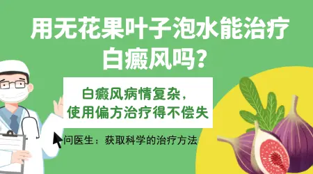 无花果叶汁外敷配合日晒治白癜风好不好