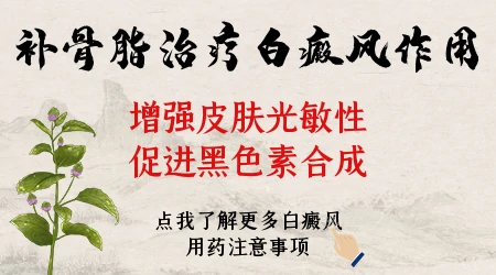 补骨脂酊能治好白斑吗