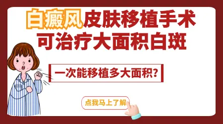 白斑做了移植手术后是什么样子的