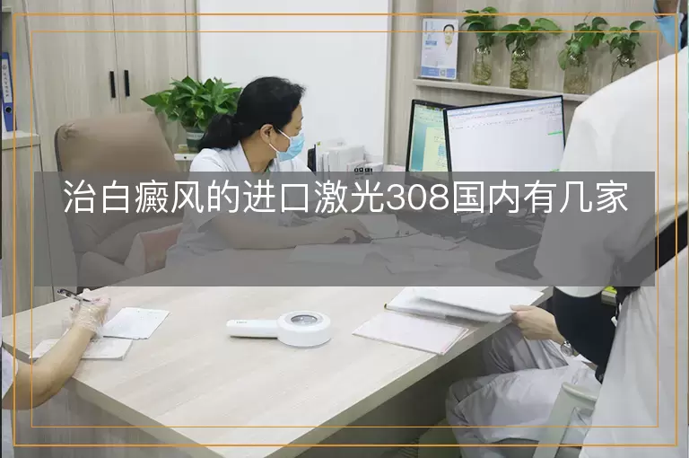 治白癜风的进口激光308国内有几家