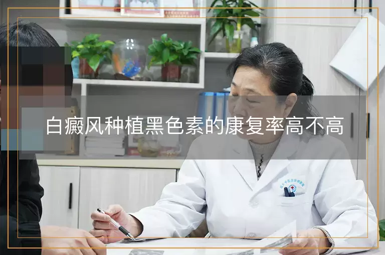 白癜风种植黑色素的康复率高不高