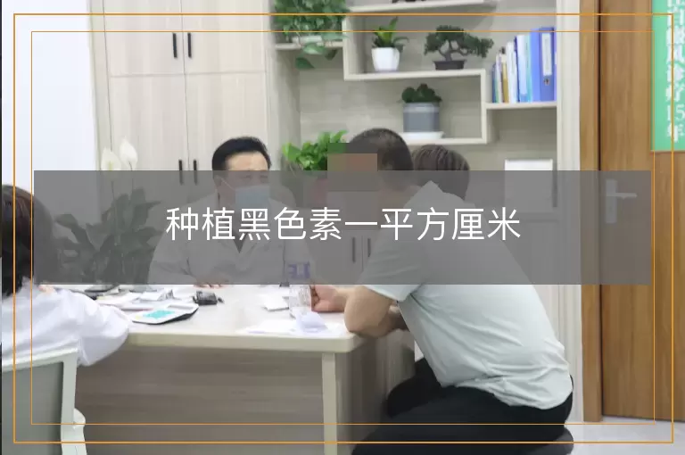 种植黑色素一平方厘米