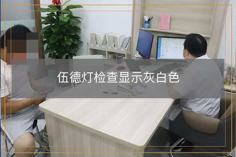 伍德灯检查显示灰白色