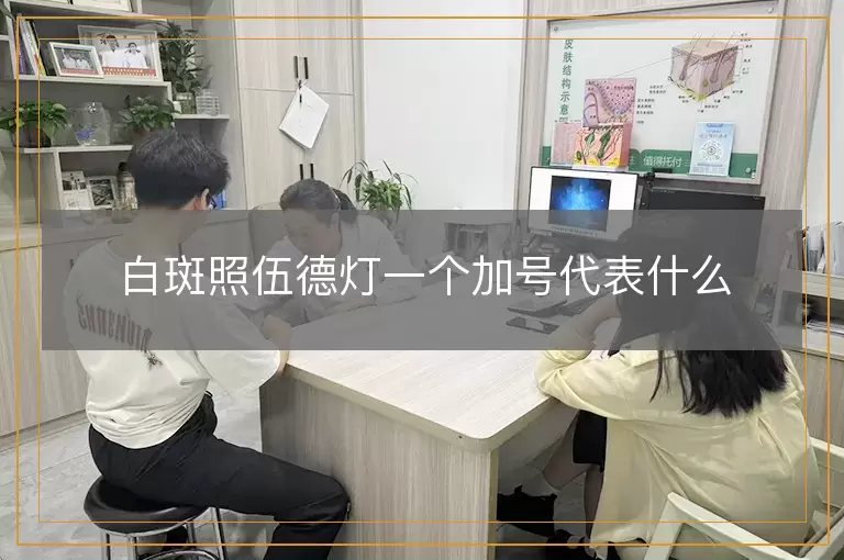 白斑照伍德灯一个加号代表什么